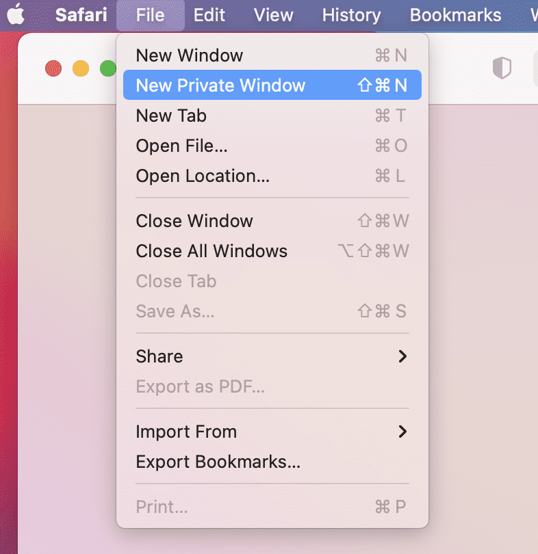 Safari Incognito Toolbar 1
