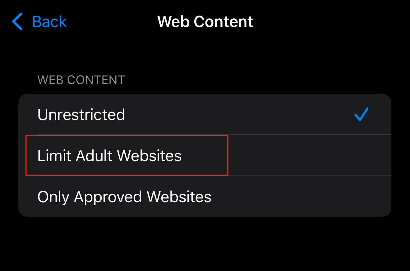 Limit Adult Websites