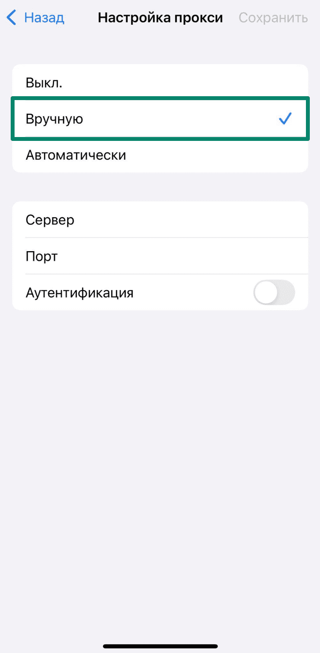 Configure Proxy manual server and port input iPhone