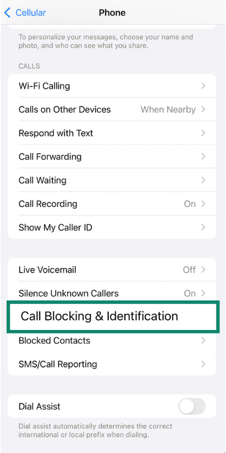 iPhone phone settings with the “Call Blocking & Identification” option highlighted.