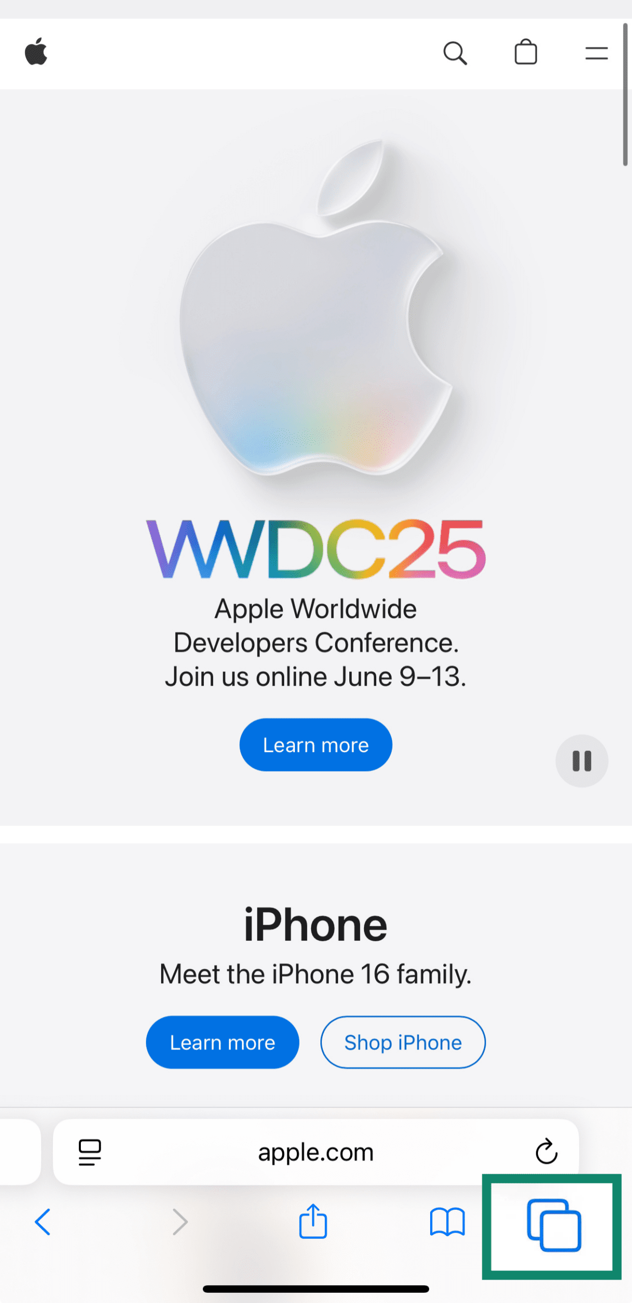 The Safari home screen with the Tabs box outlined.