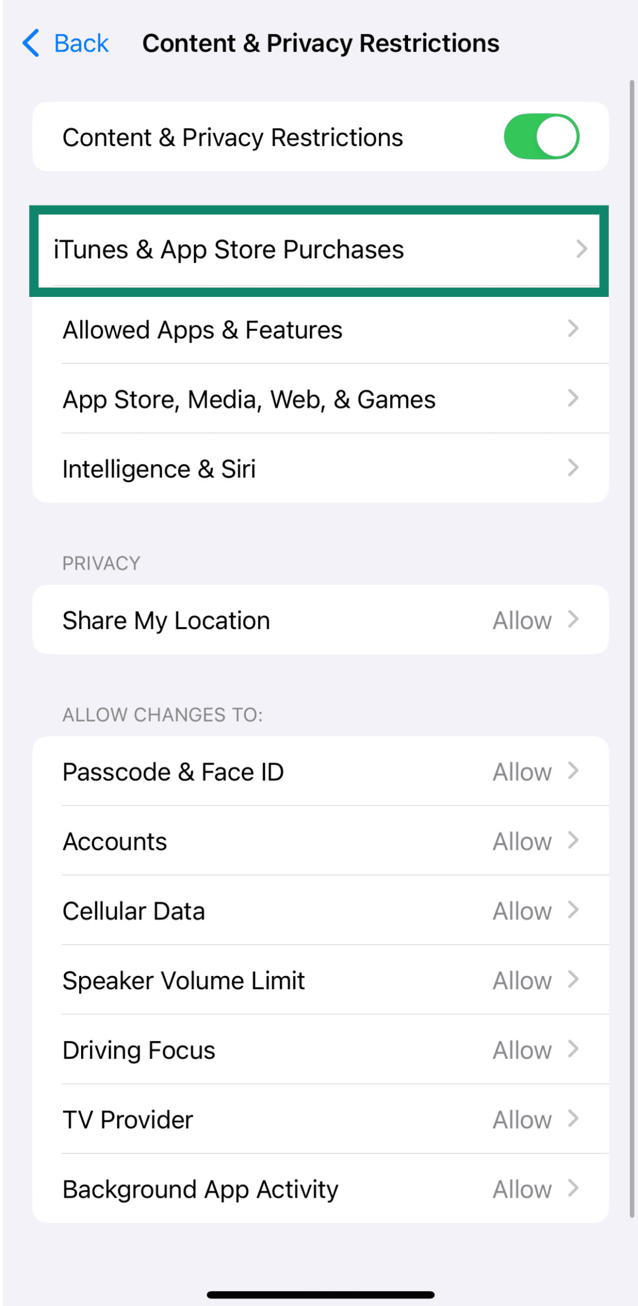 iOS screen showing iTunes & App Store Purchases option.