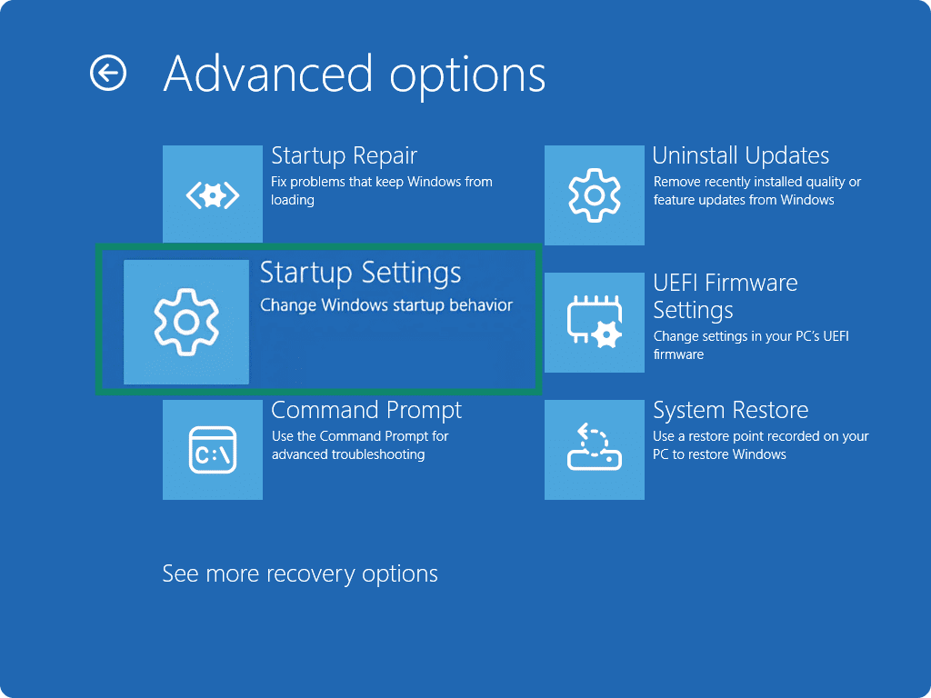Screenshot showing the Advanced options in the Recovery Menu on a Windows system, with Startup Settings to be selected