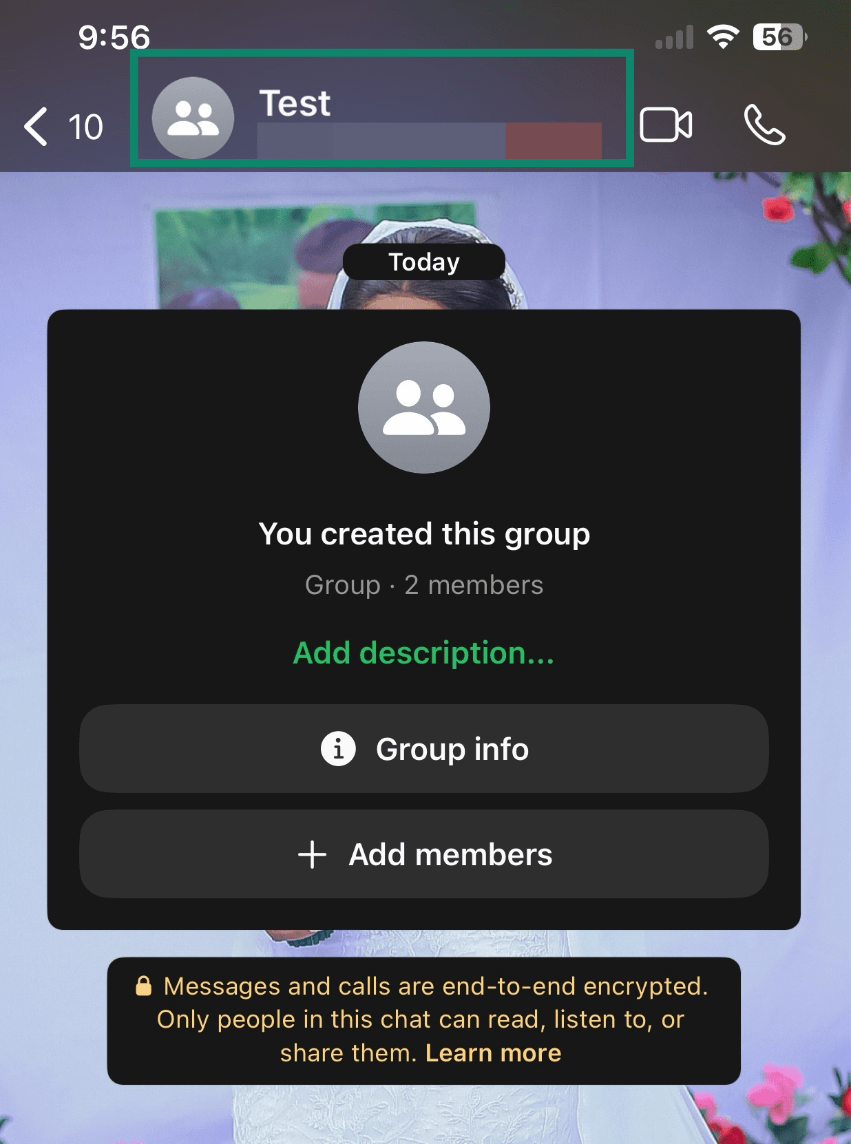 WhatsApp group chat home screen with the group name section highlighted.