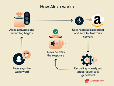 A step-by-step example of a typical Alexa interaction.