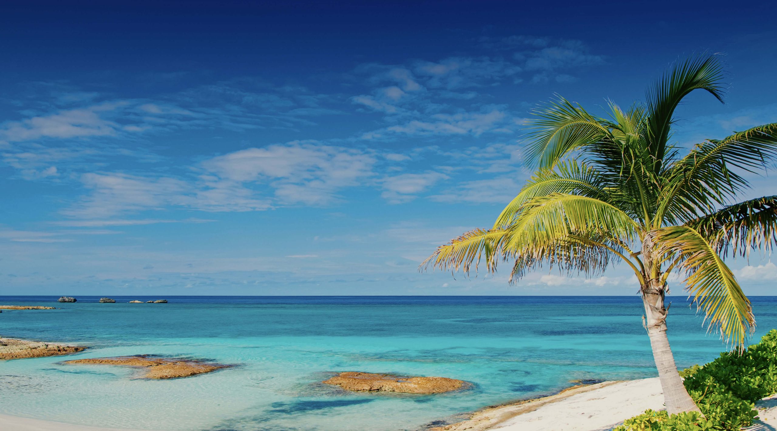 Ladda ner bäst VPN för Bahamas 2025