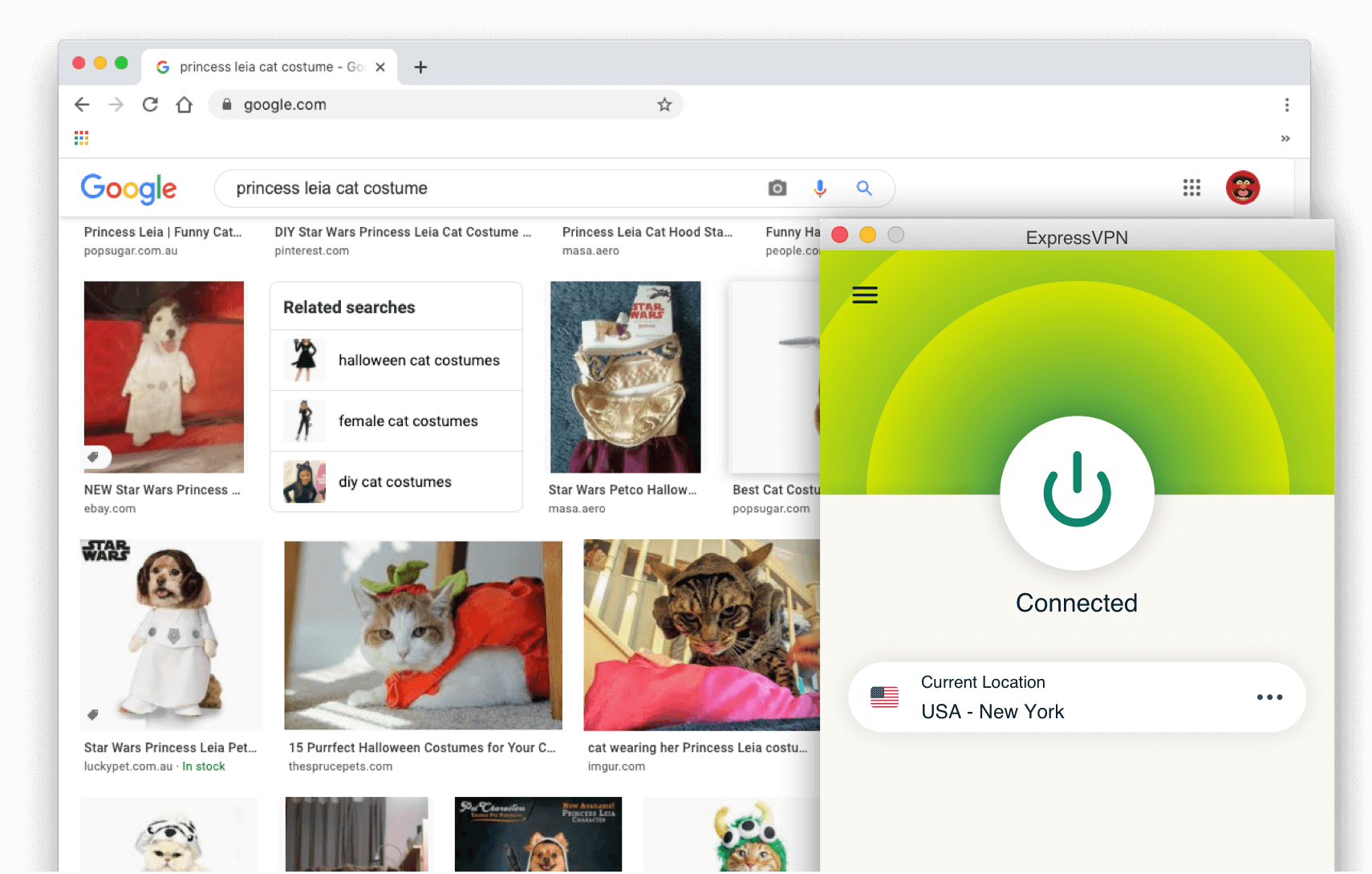 Søgeresultater på Google: Prinsesse Leia kattekostume med ExpressVPN slået til.
