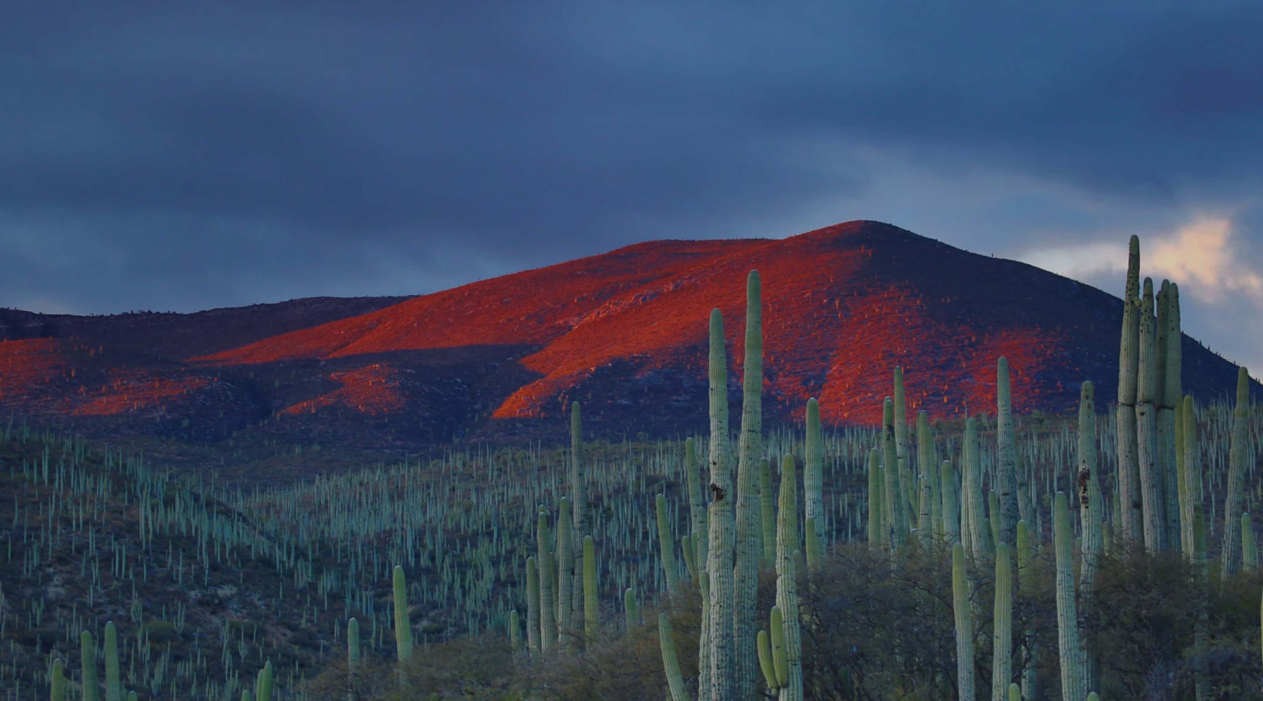 Le meilleur VPN pour le Mexique en 2025