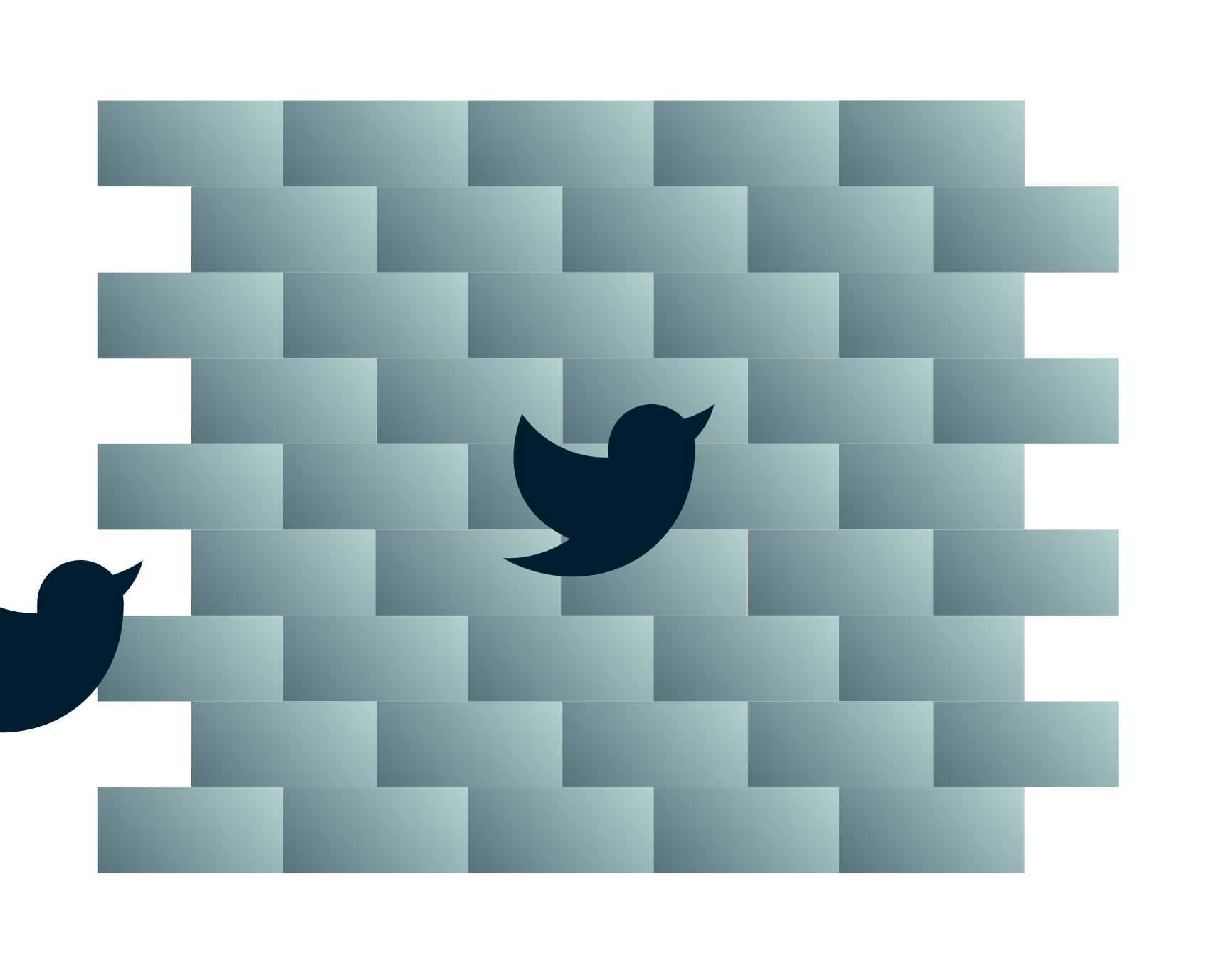 Twitter-fugle på vej ind i en mur.