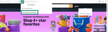 A website on Firefox, highlighting the padlock icon and the option to immediately clear cookies and data.