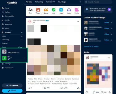 Selecting which blog to export on Tumblr