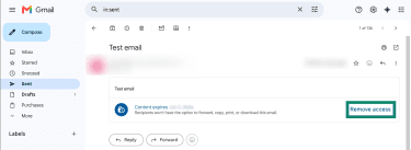 A confidential mode email in Gmail, showing the "Remove access" option for the sender.