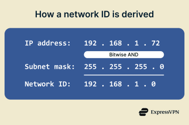 Network ID vs host ID in an IP address