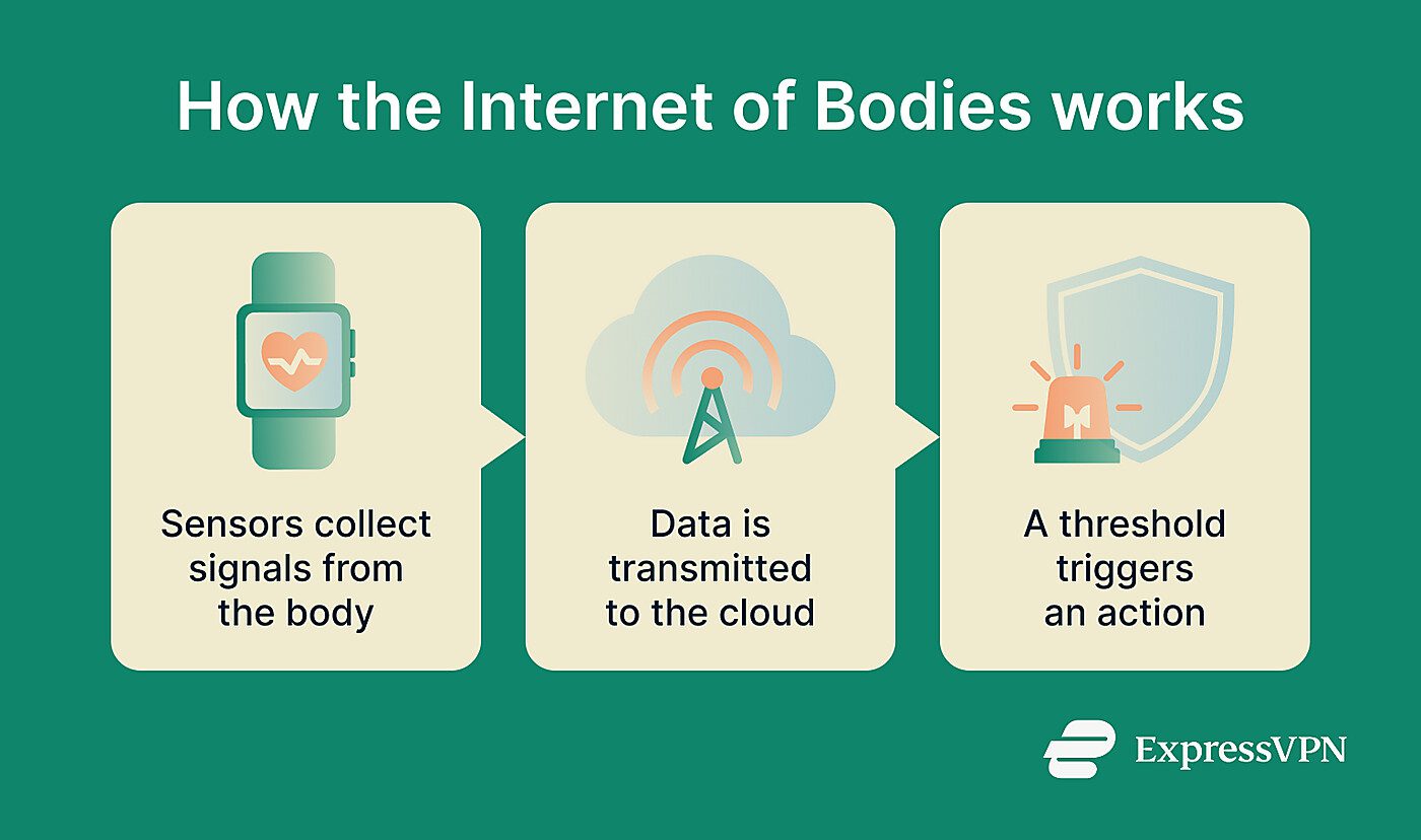 A step-by-step of how the Internet of Bodies works