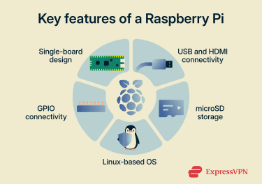 A list of the key features of Raspberry Pi devices.